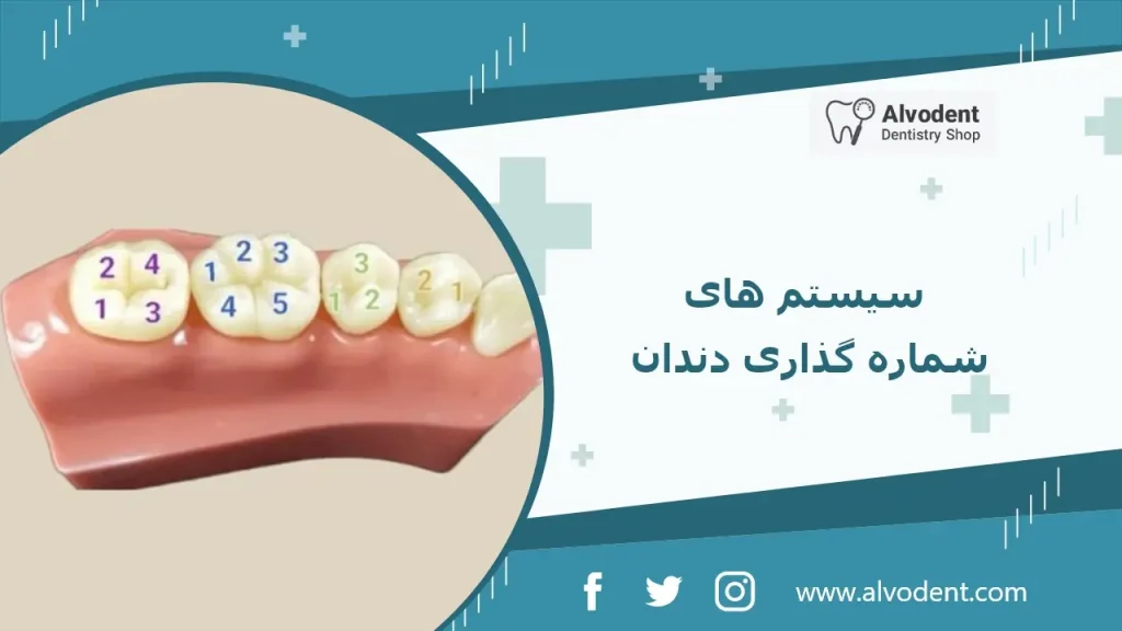 سیستم های شماره گذاری دندان